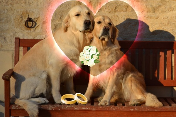 mariage apple elton Mariage apple elton